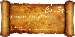 Csepeli Szilárd névjegykártya